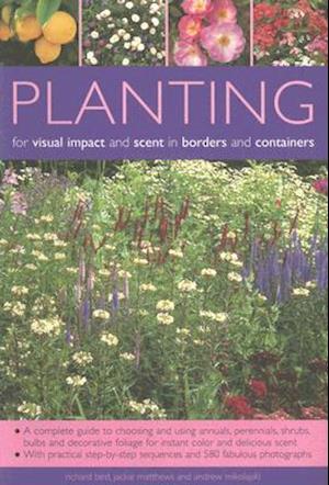Planting for Visual Impact and Scent in Borders and Containers