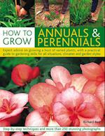 How to Grow Annuals and Perennials