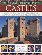 Amazing World of Castles