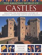 The Amazing World of Castles