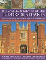Castles and Palaces of the Tudors and Stuarts