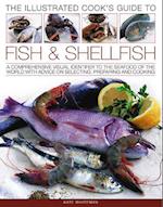 Illustrated Cook's Guide to Fish and Shellfish