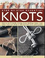 Step-by-step Essential Knots