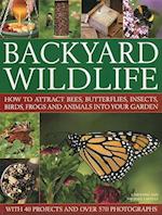 Backyard Wildlife