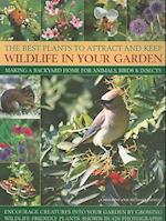 Best Plants to Attract and Keep Wildlife in the Garden
