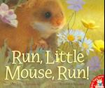 Run, Little Mouse, Run!