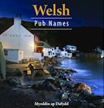 Compact Wales: Welsh Pub Names