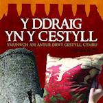 Ddraig yn y Cestyll, Y