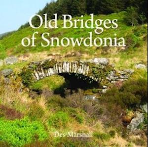 Old Bridges of Snowdonia