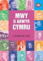 Cyfres Amdani: Mwy o Arwyr Cymru