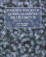 Effective Theory of Quantum Gravity