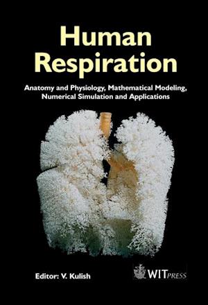 Human Respiration