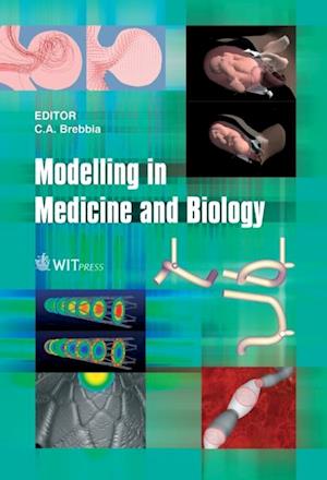 Modelling in Medicine and Biology