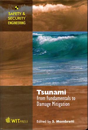 Tsunami: From Fundamentals to Mitigation
