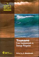 Tsunami: From Fundamentals to Mitigation 