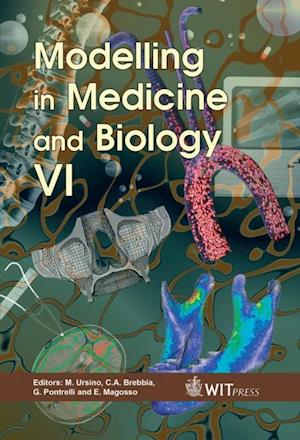 Modelling in Medicine and Biology VI