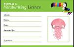 Penpals for Handwriting Pen Licence Cards (pack of 200)