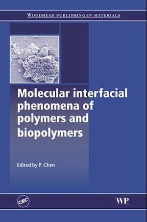 Molecular Interfacial Phenomena of Polymers and Biopolymers