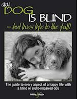My Dog is Blind  -  But Lives Life to the Full!