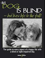 My dog is blind - but lives life to the full!