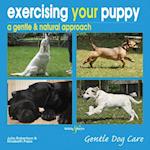 Exercising Your Puppy: A Gentle & Natural Approach