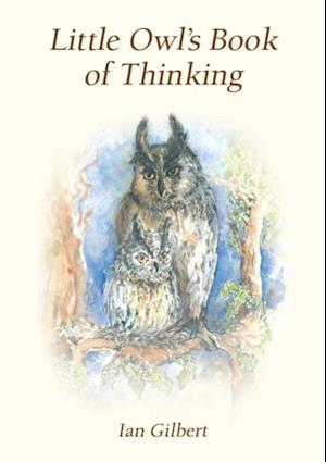 Little Owl's Book of Thinking