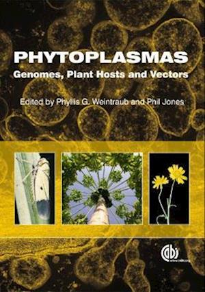 Phytoplasmas