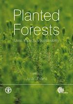Planted Forests