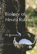 Biology of Hevea Rubber