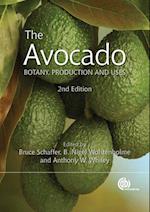 Avocado, The