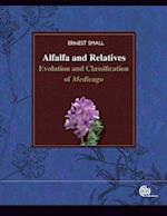 Alfalfa and Relatives