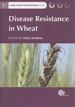 Disease Resistance in Wheat