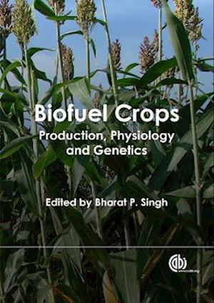 Biofuel Crops