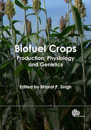 Biofuel Crops