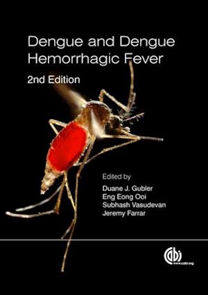 Dengue and Dengue Hemorrhagic Fever