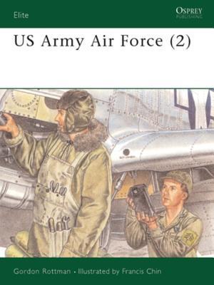 US Army Air Force (2)