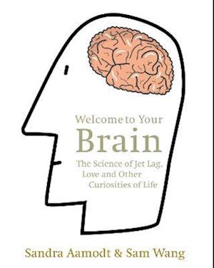 Welcome to Your Brain