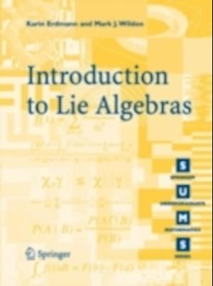 Introduction to Lie Algebras