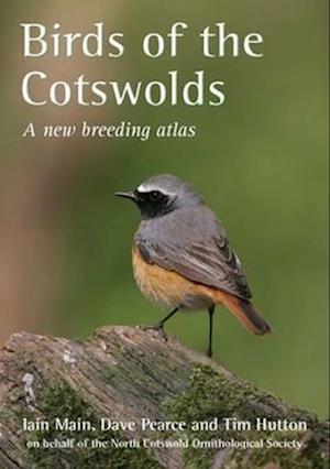 Birds of the Cotswolds