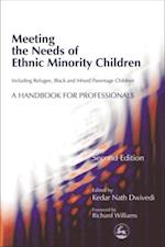 Meeting the Needs of Ethnic Minority Children - Including Refugee, Black and Mixed Parentage Children