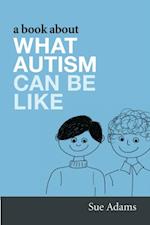 Book About What Autism Can Be Like