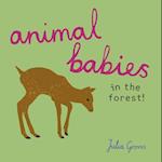 Animal Babies in the Forest!
