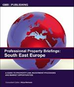 Professional Property Briefings