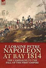 Napoleon at Bay, 1814