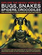 Explore the Deadly World of Bugs, Snakes, Spiders, Crocodiles