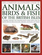 The Animals, Birds & Fish of British Isles, Complete Illustrated Guide to