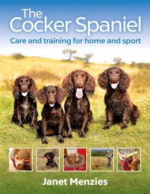 The Cocker Spaniel