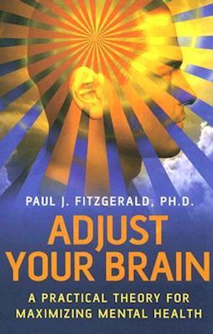 Adjust Your Brain - A Practical Theory for Maximising Mental Health