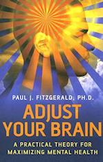 Adjust Your Brain - A Practical Theory for Maximising Mental Health