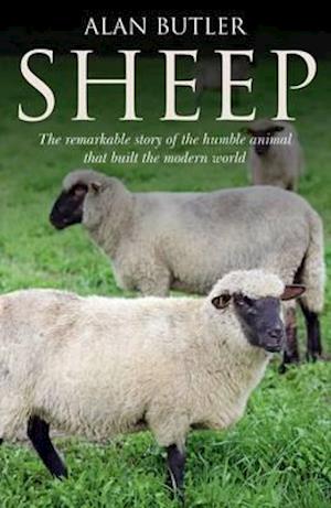 Sheep – The remarkable story of the humble animal that built the modern world.